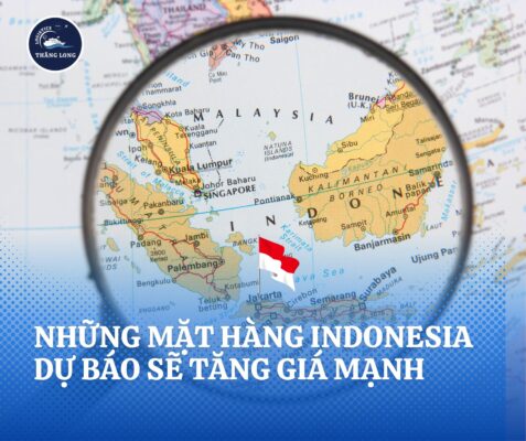 Với dự báo nhiều mặt hàng Indonesia tăng giá mạnh trong năm 2025, việc chủ động nhập hàng sớm và lựa chọn đơn vị hỗ trợ uy tín là điều cần thiết.